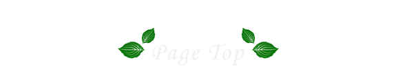 PageTop